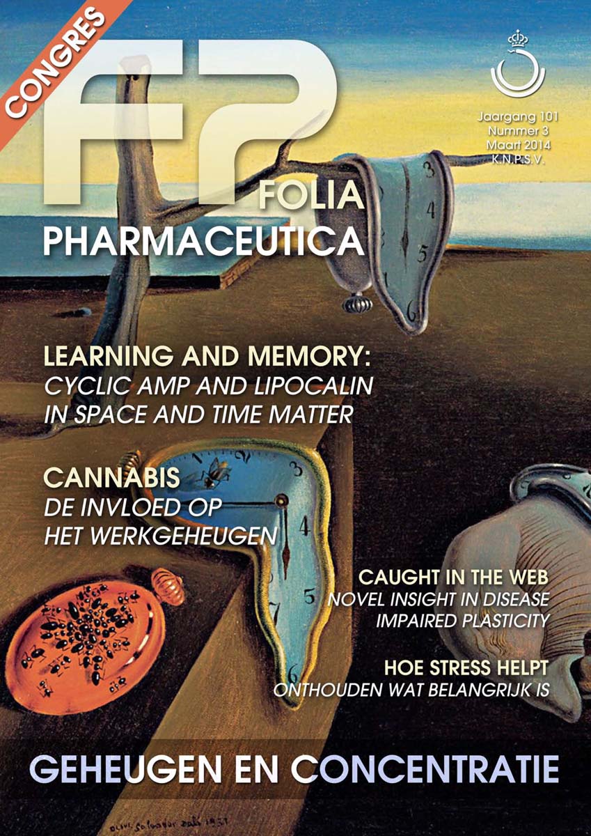 Geheugen en concentratie